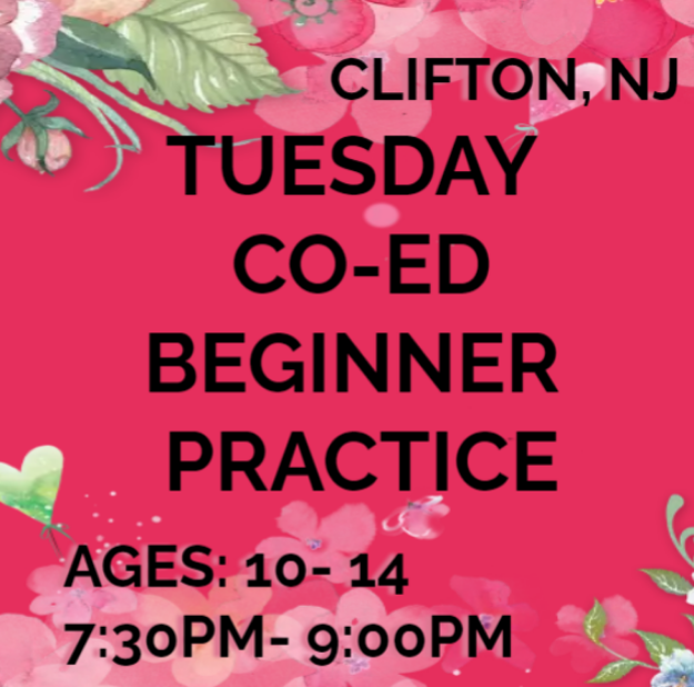 Picture of (3/5-4/2) CL: TUES BEGINNER (7:30PM- 9:00PM)